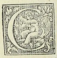 An illustration from Pharmacopoeae, Jacobi Sylvii medici libri tres, his, qui artem medicam, & pharmacopoea[m] tractant exercentque, maximè necessarii. (1548)