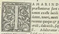 An illustration from Apparatus et delectus simplicium medicamentorum. De compositione medicamentorum secundum genera, ex Paulo Aegineta. De compositione medicamentorum secundum genera universalis methodus, ex Galeno. Omnia nunc primùm ædita, cùm medicis, tum pharmacopolis omnib. apprimè necessaria, auctore Conrado Gessnero Tigurino. (1542)