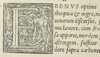 An illustration from Apparatus et delectus simplicium medicamentorum. De compositione medicamentorum secundum genera, ex Paulo Aegineta. De compositione medicamentorum secundum genera universalis methodus, ex Galeno. Omnia nunc primùm ædita, cùm medicis, tum pharmacopolis omnib. apprimè necessaria, auctore Conrado Gessnero Tigurino. (1542)
