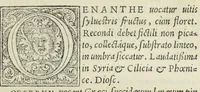 An illustration from Apparatus et delectus simplicium medicamentorum. De compositione medicamentorum secundum genera, ex Paulo Aegineta. De compositione medicamentorum secundum genera universalis methodus, ex Galeno. Omnia nunc primùm ædita, cùm medicis, tum pharmacopolis omnib. apprimè necessaria, auctore Conrado Gessnero Tigurino. (1542)