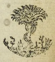 Picture 2 of 3 from De alchemia dialogi duo. Quorum prior, genuinam librorum Gebri sententiam, de industria ab autore celatam, & figurato sermone involutam retegit, & certis argumentis probat. Alter, Raimundi Lullij Majoricani, mysteria in lucem producit. Quibus præmittuntur (1548), leaf 5