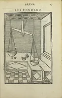 Picture 18 of 27 from Ars et theoria transmutationis metallicæ cum Voarchadúmia, proportionibus, numeris, & iconibus rei accommodis illustrata. Joanne Augustino Pantheo Veneto authore. (1550), leaf 120
