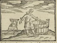An illustration from Theatri chemici volumen sextum, theologies, medicis, et tam vulgaribus quam hermeticæ, chemiæ studiosis utilissimum, praecipuos selectorum auctorum huius seculi tractatus de chemia & lapidis philosophici antiquitate, veritate jure præstantia & operationibus continens, ex Germanica & Gallica lingua in latinam translatum per Johannem Jacobum Heilmannum bipontino-palatinum M.D. (1661)