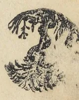 An illustration from Raymundi Lullii opera ea quæ ad adinventam ab ipso artem universalem, scientiarum artiumque omnium brevi compendio, firmaque memoria apprehendendarum, locupletissimaque vel oratione ex tempore pertractandarum, pertinent. Ut et in eandem quorundam interpretum scripti commentarii: quæ omnia sequens indicabit pagina: & hoc demum tempore conjunctim emendatiora locupletioraque non nihil edita sunt. Accessit huic editioni Valerii de Valeriis patricii veneti Aureum in artem Lulli generalem opus: adjuncto indice cum capitum, tùm rerum ac verborum locupletißimo (1617)