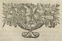 An illustration from Angeli Salæ Vicentini chymiatri candidissimi et archiatri megapolitani. Opera medico-chymica quæ extant omnia. Frustulatim hactenus diversisque linguis excusa, nunc in unum collecta latinoque idiomate edita. Editio postrema auctior & emendatior, In qua præter correctionem crassissimorum errorum plusquam mille locis commissorum in nouissima editione Francofurtensi, integra capita sparsim Gallicè aut Germanicè expressa, latinitate donata reperies. Huic ultimæ editioni accessit tractatus peculiaris Angeli Salæ de Erroribus pseudochymicorum et galenistarum, multùm desideratus, & nunquam nisi seorsim editus. Addito indice rerum & verborum locupletissimo. (1650)