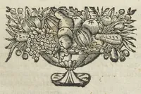 An illustration from Angeli Salæ Vicentini chymiatri candidissimi et archiatri megapolitani. Opera medico-chymica quæ extant omnia. Frustulatim hactenus diversisque linguis excusa, nunc in unum collecta latinoque idiomate edita. Editio postrema auctior & emendatior, In qua præter correctionem crassissimorum errorum plusquam mille locis commissorum in nouissima editione Francofurtensi, integra capita sparsim Gallicè aut Germanicè expressa, latinitate donata reperies. Huic ultimæ editioni accessit tractatus peculiaris Angeli Salæ de Erroribus pseudochymicorum et galenistarum, multùm desideratus, & nunquam nisi seorsim editus. Addito indice rerum & verborum locupletissimo. (1650)
