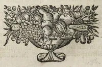 An illustration from Angeli Salæ Vicentini chymiatri candidissimi et archiatri megapolitani. Opera medico-chymica quæ extant omnia. Frustulatim hactenus diversisque linguis excusa, nunc in unum collecta latinoque idiomate edita. Editio postrema auctior & emendatior, In qua præter correctionem crassissimorum errorum plusquam mille locis commissorum in nouissima editione Francofurtensi, integra capita sparsim Gallicè aut Germanicè expressa, latinitate donata reperies. Huic ultimæ editioni accessit tractatus peculiaris Angeli Salæ de Erroribus pseudochymicorum et galenistarum, multùm desideratus, & nunquam nisi seorsim editus. Addito indice rerum & verborum locupletissimo. (1650)
