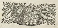 An illustration from Angeli Salæ Vicentini chymiatri candidissimi et archiatri megapolitani. Opera medico-chymica quæ extant omnia. Frustulatim hactenus diversisque linguis excusa, nunc in unum collecta latinoque idiomate edita. Editio postrema auctior & emendatior, In qua præter correctionem crassissimorum errorum plusquam mille locis commissorum in nouissima editione Francofurtensi, integra capita sparsim Gallicè aut Germanicè expressa, latinitate donata reperies. Huic ultimæ editioni accessit tractatus peculiaris Angeli Salæ de Erroribus pseudochymicorum et galenistarum, multùm desideratus, & nunquam nisi seorsim editus. Addito indice rerum & verborum locupletissimo. (1650)