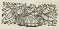 Picture 11 of 29 from Angeli Salæ Vicentini chymiatri candidissimi et archiatri megapolitani. Opera medico-chymica quæ extant omnia. Frustulatim hactenus diversisque linguis excusa, nunc in unum collecta latinoque idiomate edita. Editio postrema auctior & emendatior, In qua præter correctionem crassissimorum errorum plusquam mille locis commissorum in nouissima editione Francofurtensi, integra capita sparsim Gallicè aut Germanicè expressa, latinitate donata reperies. Huic ultimæ editioni accessit tractatus peculiaris Angeli Salæ de Erroribus pseudochymicorum et galenistarum, multùm desideratus, & nunquam nisi seorsim editus. Addito indice rerum & verborum locupletissimo. (1650), leaf 368