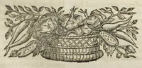 An illustration from Angeli Salæ Vicentini chymiatri candidissimi et archiatri megapolitani. Opera medico-chymica quæ extant omnia. Frustulatim hactenus diversisque linguis excusa, nunc in unum collecta latinoque idiomate edita. Editio postrema auctior & emendatior, In qua præter correctionem crassissimorum errorum plusquam mille locis commissorum in nouissima editione Francofurtensi, integra capita sparsim Gallicè aut Germanicè expressa, latinitate donata reperies. Huic ultimæ editioni accessit tractatus peculiaris Angeli Salæ de Erroribus pseudochymicorum et galenistarum, multùm desideratus, & nunquam nisi seorsim editus. Addito indice rerum & verborum locupletissimo. (1650)