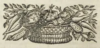 Picture 4 of 29 from Angeli Salæ Vicentini chymiatri candidissimi et archiatri megapolitani. Opera medico-chymica quæ extant omnia. Frustulatim hactenus diversisque linguis excusa, nunc in unum collecta latinoque idiomate edita. Editio postrema auctior & emendatior, In qua præter correctionem crassissimorum errorum plusquam mille locis commissorum in nouissima editione Francofurtensi, integra capita sparsim Gallicè aut Germanicè expressa, latinitate donata reperies. Huic ultimæ editioni accessit tractatus peculiaris Angeli Salæ de Erroribus pseudochymicorum et galenistarum, multùm desideratus, & nunquam nisi seorsim editus. Addito indice rerum & verborum locupletissimo. (1650), leaf 62