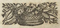 An illustration from Angeli Salæ Vicentini chymiatri candidissimi et archiatri megapolitani. Opera medico-chymica quæ extant omnia. Frustulatim hactenus diversisque linguis excusa, nunc in unum collecta latinoque idiomate edita. Editio postrema auctior & emendatior, In qua præter correctionem crassissimorum errorum plusquam mille locis commissorum in nouissima editione Francofurtensi, integra capita sparsim Gallicè aut Germanicè expressa, latinitate donata reperies. Huic ultimæ editioni accessit tractatus peculiaris Angeli Salæ de Erroribus pseudochymicorum et galenistarum, multùm desideratus, & nunquam nisi seorsim editus. Addito indice rerum & verborum locupletissimo. (1650)