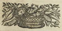 Picture 29 of 29 from Angeli Salæ Vicentini chymiatri candidissimi et archiatri megapolitani. Opera medico-chymica quæ extant omnia. Frustulatim hactenus diversisque linguis excusa, nunc in unum collecta latinoque idiomate edita. Editio postrema auctior & emendatior, In qua præter correctionem crassissimorum errorum plusquam mille locis commissorum in nouissima editione Francofurtensi, integra capita sparsim Gallicè aut Germanicè expressa, latinitate donata reperies. Huic ultimæ editioni accessit tractatus peculiaris Angeli Salæ de Erroribus pseudochymicorum et galenistarum, multùm desideratus, & nunquam nisi seorsim editus. Addito indice rerum & verborum locupletissimo. (1650), leaf 789