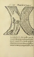 Picture 5 of 21 from Le monde de Mr Descartes, ou, Le traité de la lumiere, et des autres principaux objets des sens. Avec un Discours du mouvement local, & un autre Des fiévres (1664), leaf 146