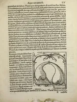 An illustration from Coelum philosophorum seu De secretis naturæ. Liber. Philippo Ulstadio patricio Nirenbergensi. Authore. (1525)