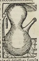 Picture 14 of 22 from Coelum philosophorum seu De secretis naturæ. Liber. Philippo Ulstadio patricio Nirenbergensi. Authore. (1525), leaf 43