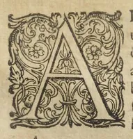 An illustration from Joannis Danielis Mylii, medicinæ candidati Operis medico-chymici pars altera. Qua continentur tres libri posteriores basilicæ chymicæ, ut & basilica philosophica, perfecta, in libros tres distributa, & figuris æneis illustrata. (1620)