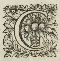 An illustration from Michaelis Majeri viatorium, hoc est, de montibus planetarum septem seu metallorum; tractatus tam utilis, quàm perspicuus, quo, ut indice mercuriali in triviis, vel Adriadnêo filo in labyrintho, seu Cynosurâ in oceano chymicorum errorum immenso, quilibet rationalis, veritatis amans, ad illum, qui in montibus sese abdidit de rubea-petra Alexicacum, omnibus medicis desideratum, investigandum, uti poterit (1651)
