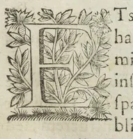 An illustration from Michaelis Majeri viatorium, hoc est, de montibus planetarum septem seu metallorum; tractatus tam utilis, quàm perspicuus, quo, ut indice mercuriali in triviis, vel Adriadnêo filo in labyrintho, seu Cynosurâ in oceano chymicorum errorum immenso, quilibet rationalis, veritatis amans, ad illum, qui in montibus sese abdidit de rubea-petra Alexicacum, omnibus medicis desideratum, investigandum, uti poterit (1651)