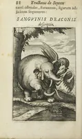 An illustration from Michaelis Majeri viatorium, hoc est, de montibus planetarum septem seu metallorum; tractatus tam utilis, quàm perspicuus, quo, ut indice mercuriali in triviis, vel Adriadnêo filo in labyrintho, seu Cynosurâ in oceano chymicorum errorum immenso, quilibet rationalis, veritatis amans, ad illum, qui in montibus sese abdidit de rubea-petra Alexicacum, omnibus medicis desideratum, investigandum, uti poterit (1651)