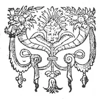 An illustration from Praxis alchymiæ, hoc est, Doctrina De artificiosa præparatione præcipuorum medicamentorum chymicorum : duobus libris explicata : quorum primus de destillatione aquarum et oleorum : de salium & extractorum, quintar. Essentiarum, aquarum vitæ, florum & balsamorum, &c. confectione : ab autore anonymo, propria experientia conscriptus est : Alter De lapide philosophorum agit : in quo ut recte is comparandus sit, remoris mnibus figuris & parabolis, dilucide docetur. Uterque correctus, & declaratus opera Andreae Libavii Saxo-Halensis, medici & physici Rotenburgensis ad Tubarim. Nunc ex germanico idiomate in latinum traductus. Annexus est libellus Jacobi Bessoni de absoluta ratione extrahendi olea & aquas, a medicamentis simplicibus, &c. (1604)