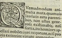 An illustration from Jordanus Brunus Nolanus. De specierum scrutinio et lampade combinatoria Raymundi Lullii doctoris Heremitæ omniscii, propè modumque divini. (1588)