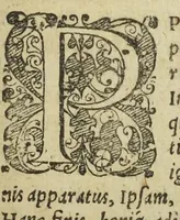 An illustration from Jordanus Brunus Nolanus De progressu et lampade venatoria logicorum‎ Adpromtè atq[ue] copios̀e de quocumq[ue] proposito problemate disputandum. (1587)