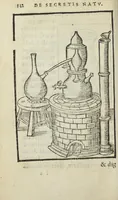 An illustration from Cœlum philosophorum, seu liber de secretis naturæ, per Philippum Ulstadium ex variis autoribus accuratè selectus, variísque figuris illustratus. Nunc recèns adjecimus Joan. Anto. Campesii Directorium summæ summarum medicinæ. (1557)