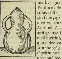 Picture 30 of 45 from Cœlum philosophorum, seu liber de secretis naturæ, per Philippum Ulstadium ex variis autoribus accuratè selectus, variísque figuris illustratus. Nunc recèns adjecimus Joan. Anto. Campesii Directorium summæ summarum medicinæ. (1557), leaf 191