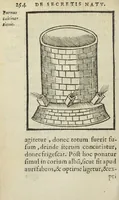 Picture 34 of 45 from Cœlum philosophorum, seu liber de secretis naturæ, per Philippum Ulstadium ex variis autoribus accuratè selectus, variísque figuris illustratus. Nunc recèns adjecimus Joan. Anto. Campesii Directorium summæ summarum medicinæ. (1557), leaf 256
