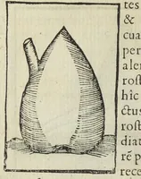 An illustration from Cœlum philosophorum, seu liber de secretis naturæ, per Philippum Ulstadium ex variis autoribus accuratè selectus, variísque figuris illustratus. Nunc recèns adjecimus Joan. Anto. Campesii Directorium summæ summarum medicinæ. (1557)