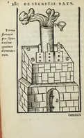 Picture 38 of 45 from Cœlum philosophorum, seu liber de secretis naturæ, per Philippum Ulstadium ex variis autoribus accuratè selectus, variísque figuris illustratus. Nunc recèns adjecimus Joan. Anto. Campesii Directorium summæ summarum medicinæ. (1557), leaf 282