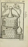 Picture 40 of 45 from Cœlum philosophorum, seu liber de secretis naturæ, per Philippum Ulstadium ex variis autoribus accuratè selectus, variísque figuris illustratus. Nunc recèns adjecimus Joan. Anto. Campesii Directorium summæ summarum medicinæ. (1557), leaf 289