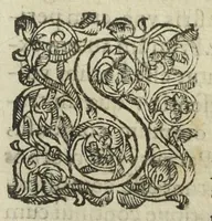 An illustration from Josephi Quercetani medici opera: scilicet, ad Jacobi Auberti vindonis de ortu & causis metallorum contra chymicos explicationem, brevis responsio. De exquisita mineralium, animalium, & vegetabilium medicamentorum spagyrica præparatione & usu, perspicua tractatio. Sclopetarius, sive, de curandis vulneribus, quæ sclopetorum & similium tormentorum ictibus acciderunt, liber. Antidotarium spagyricum adversus eosdem ictus. (1600)