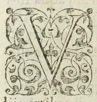 An illustration from Josephi Quercetani medici opera: scilicet, ad Jacobi Auberti vindonis de ortu & causis metallorum contra chymicos explicationem, brevis responsio. De exquisita mineralium, animalium, & vegetabilium medicamentorum spagyrica præparatione & usu, perspicua tractatio. Sclopetarius, sive, de curandis vulneribus, quæ sclopetorum & similium tormentorum ictibus acciderunt, liber. Antidotarium spagyricum adversus eosdem ictus. (1600)