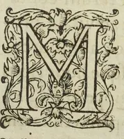 An illustration from Josephi Quercetani medici opera: scilicet, ad Jacobi Auberti vindonis de ortu & causis metallorum contra chymicos explicationem, brevis responsio. De exquisita mineralium, animalium, & vegetabilium medicamentorum spagyrica præparatione & usu, perspicua tractatio. Sclopetarius, sive, de curandis vulneribus, quæ sclopetorum & similium tormentorum ictibus acciderunt, liber. Antidotarium spagyricum adversus eosdem ictus. (1600)
