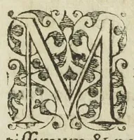 An illustration from Josephi Quercetani medici opera: scilicet, ad Jacobi Auberti vindonis de ortu & causis metallorum contra chymicos explicationem, brevis responsio. De exquisita mineralium, animalium, & vegetabilium medicamentorum spagyrica præparatione & usu, perspicua tractatio. Sclopetarius, sive, de curandis vulneribus, quæ sclopetorum & similium tormentorum ictibus acciderunt, liber. Antidotarium spagyricum adversus eosdem ictus. (1600)