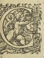 An illustration from Gulielmi Rondeletii doctoris medici, et medicinæ in schola Monspeliensi professoris regii & cancellarii Methodus curandorum omnium morborum corporis humani in tres libros distincta. Ejusdem de dignoscendis morbis. Febribus. Morbo Gallico. De internis & externis. Pharmacopolarum officina. Fucis. Omnia nunc primùm in lucem ædita, & diligentissimè castigata. (1574)