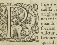 An illustration from Gulielmi Rondeletii doctoris medici, et medicinæ in schola Monspeliensi professoris regii & cancellarii Methodus curandorum omnium morborum corporis humani in tres libros distincta. Ejusdem de dignoscendis morbis. Febribus. Morbo Gallico. De internis & externis. Pharmacopolarum officina. Fucis. Omnia nunc primùm in lucem ædita, & diligentissimè castigata. (1574)