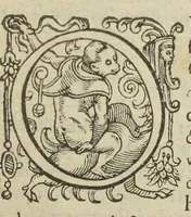 An illustration from Gulielmi Rondeletii doctoris medici, et medicinæ in schola Monspeliensi professoris regii & cancellarii Methodus curandorum omnium morborum corporis humani in tres libros distincta. Ejusdem de dignoscendis morbis. Febribus. Morbo Gallico. De internis & externis. Pharmacopolarum officina. Fucis. Omnia nunc primùm in lucem ædita, & diligentissimè castigata. (1574)