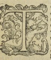 An illustration from Gulielmi Rondeletii doctoris medici, et medicinæ in schola Monspeliensi professoris regii & cancellarii Methodus curandorum omnium morborum corporis humani in tres libros distincta. Ejusdem de dignoscendis morbis. Febribus. Morbo Gallico. De internis & externis. Pharmacopolarum officina. Fucis. Omnia nunc primùm in lucem ædita, & diligentissimè castigata. (1574)