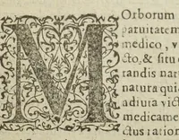 An illustration from Gulielmi Rondeletii doctoris medici, et medicinæ in schola Monspeliensi professoris regii & cancellarii Methodus curandorum omnium morborum corporis humani in tres libros distincta. Ejusdem de dignoscendis morbis. Febribus. Morbo Gallico. De internis & externis. Pharmacopolarum officina. Fucis. Omnia nunc primùm in lucem ædita, & diligentissimè castigata. (1574)