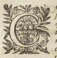An illustration from Le regime de santé de l'Escole de Salerne. Traduit et commenté par maistre Michel Le Long, docteur en medecine. Avec l'Epistre de Diocle Carystien, touchant les presages des maladies, à Antigon roy d'Asie : et le Serment d'Hippocrate, mis de prose en vers françois par le mesme. Quatriesme edition. (1649)