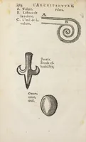 Picture 44 of 66 from Essay des merveilles de nature, et des plus nobles artifices. Piece tres-necessaire à tous ceux qui font profession d'eloquence. Par René François, predicateur du roy. Treiziesme edition. Reveue, corrigée, & augmentée de nouveau. (1657), leaf 432