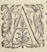 An illustration from Jacobi Hollerii stempani, medici parsiensis celeberrimi, De morbis internis, lib. II. Illustrati doctißimis ejusdem authoris schollis & observationibus non antea excußis : deinde Ludovici Dureti professoris Regii in eundem adversariis : & Anthonii Valetii doctoris medici exercitationibus lucu lentis. Ejusdem Hollerii De febribus. [De] peste. De rhemediis kata topous in Galeni libros. [De] materia chirurgica. Quæ omnia Ant. Valet. medici opera auctiora & castigatiora in lucem prodeunt. (1577)