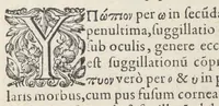 An illustration from Jacobi Hollerii stempani, medici parsiensis celeberrimi, De morbis internis, lib. II. Illustrati doctißimis ejusdem authoris schollis & observationibus non antea excußis : deinde Ludovici Dureti professoris Regii in eundem adversariis : & Anthonii Valetii doctoris medici exercitationibus lucu lentis. Ejusdem Hollerii De febribus. [De] peste. De rhemediis kata topous in Galeni libros. [De] materia chirurgica. Quæ omnia Ant. Valet. medici opera auctiora & castigatiora in lucem prodeunt. (1577)