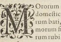 An illustration from Jacobi Hollerii stempani, medici parsiensis celeberrimi, De morbis internis, lib. II. Illustrati doctißimis ejusdem authoris schollis & observationibus non antea excußis : deinde Ludovici Dureti professoris Regii in eundem adversariis : & Anthonii Valetii doctoris medici exercitationibus lucu lentis. Ejusdem Hollerii De febribus. [De] peste. De rhemediis kata topous in Galeni libros. [De] materia chirurgica. Quæ omnia Ant. Valet. medici opera auctiora & castigatiora in lucem prodeunt. (1577)