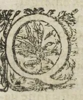 An illustration from Medici officiosi Opera, viro nobili Philib. Guiberto, doct. med. Paris. Authore ; centies antehac gallice edita, nunc primum latinè reddita. (1649)
