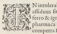 An illustration from Jacobi Hollerii stempani, medici parsiensis celeberrimi, De morbis internis, lib. II. Illustrati doctißimis ejusdem authoris schollis & observationibus non antea excußis : deinde Ludovici Dureti professoris Regii in eundem adversariis : & Anthonii Valetii doctoris medici exercitationibus lucu lentis. Ejusdem Hollerii De febribus. [De] peste. De rhemediis kata topous in Galeni libros. [De] materia chirurgica. Quæ omnia Ant. Valet. medici opera auctiora & castigatiora in lucem prodeunt. (1577)