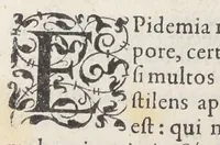 An illustration from Jacobi Hollerii stempani, medici parsiensis celeberrimi, De morbis internis, lib. II. Illustrati doctißimis ejusdem authoris schollis & observationibus non antea excußis : deinde Ludovici Dureti professoris Regii in eundem adversariis : & Anthonii Valetii doctoris medici exercitationibus lucu lentis. Ejusdem Hollerii De febribus. [De] peste. De rhemediis kata topous in Galeni libros. [De] materia chirurgica. Quæ omnia Ant. Valet. medici opera auctiora & castigatiora in lucem prodeunt. (1577)